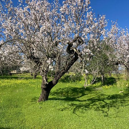 Willa Casa Tranquila Barrada Alcoutim Zewnętrze zdjęcie