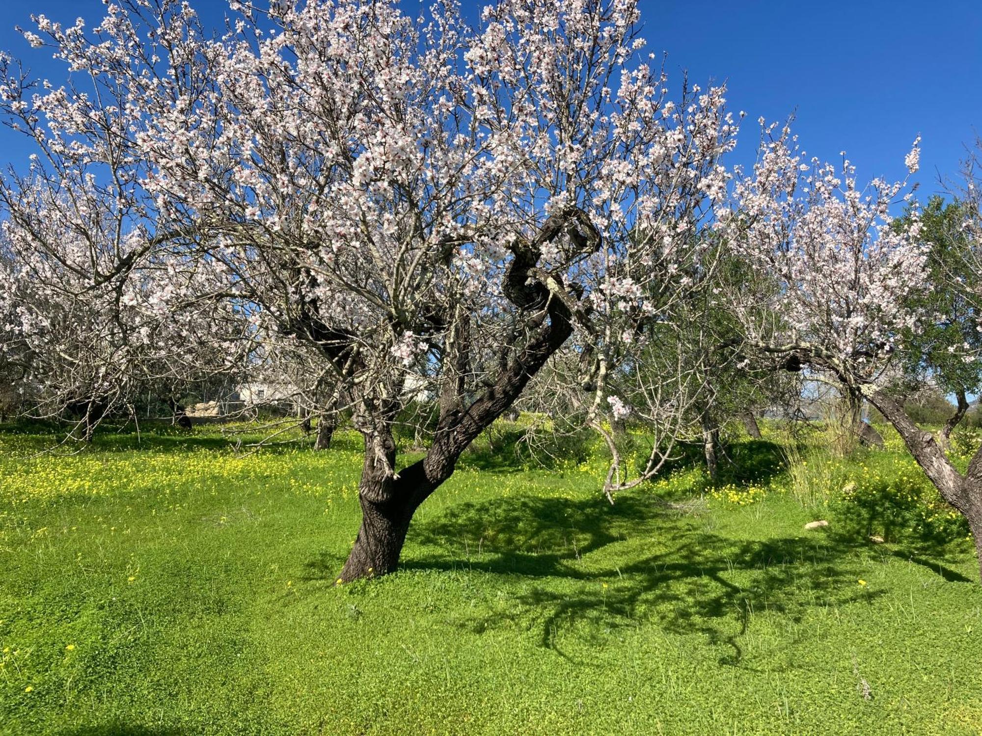 Willa Casa Tranquila Barrada Alcoutim Zewnętrze zdjęcie